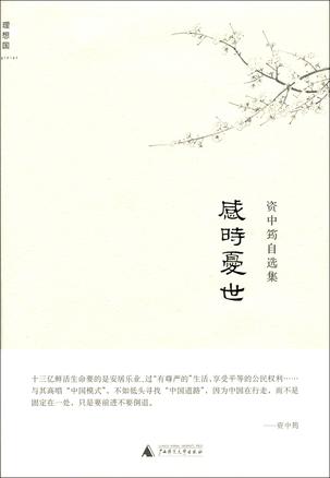 感时忧世